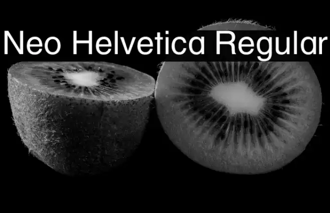 Neo Helvetica Regular フォント examples
