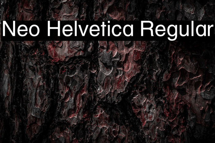 Neo Helvetica Regular Example 3