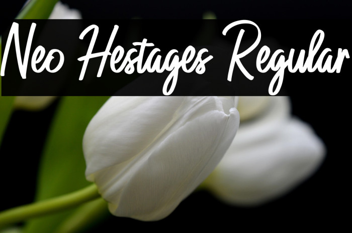 Neo Hestages Regular Example 1