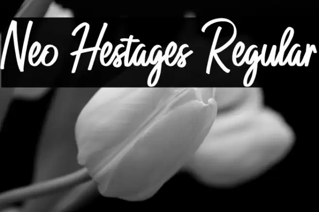 Neo Hestages Regular Font examples