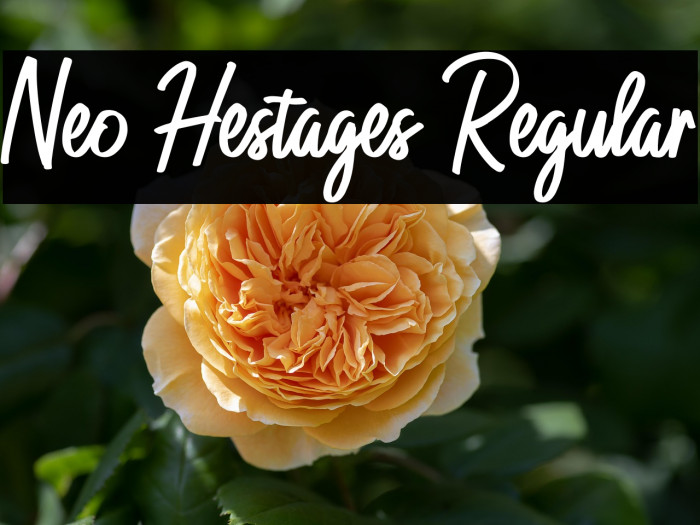 Neo Hestages Regular Example 2