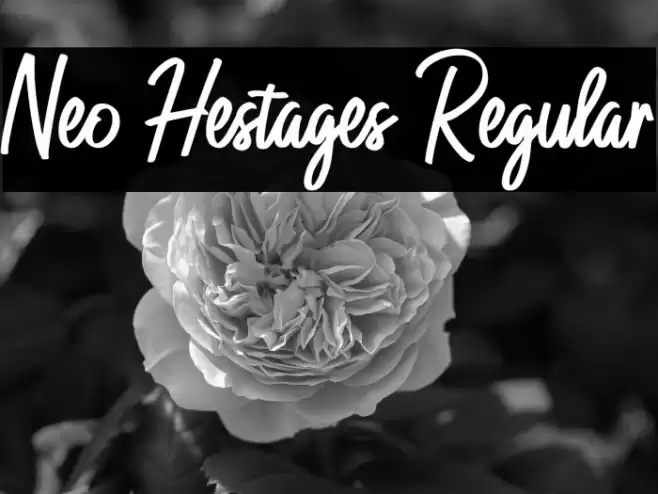 Neo Hestages Regular Font examples