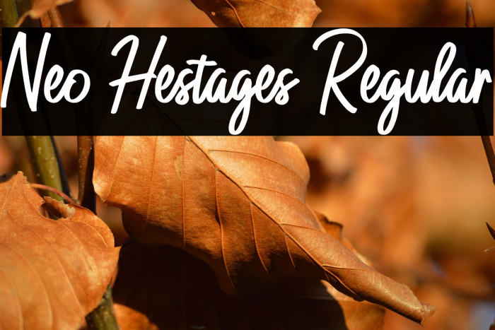 Neo Hestages Regular Example 3