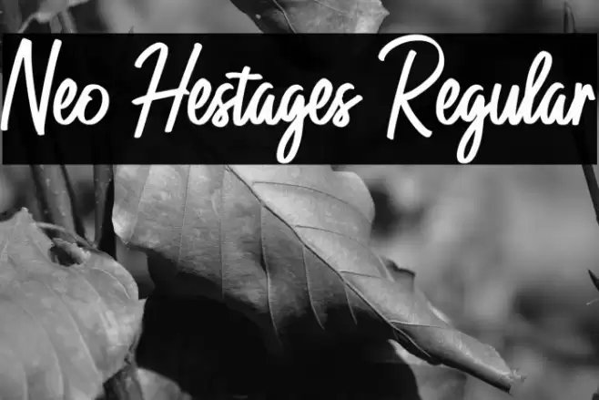 Neo Hestages Regular Font examples