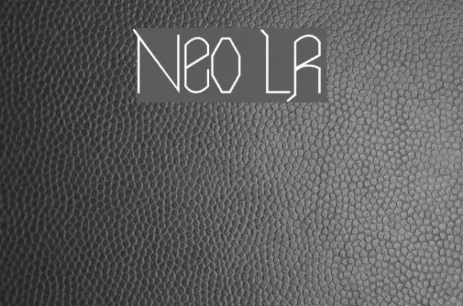 Neo LR Example 1