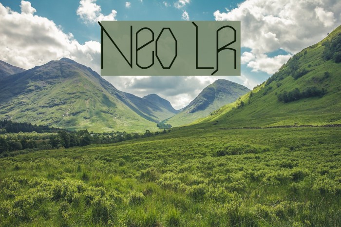 Neo LR Font examples