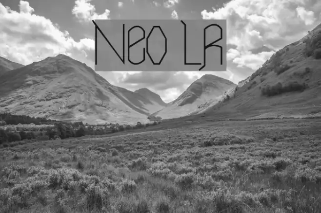 Neo LR Example 3