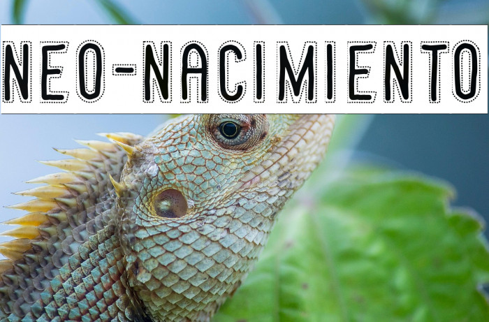 Neo-Nacimiento Example 2