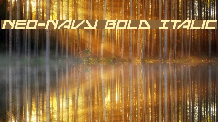 Neo-Navy Bold Italic Font examples