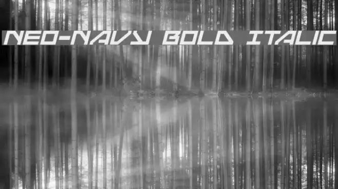 Neo-Navy Bold Italic Example 2