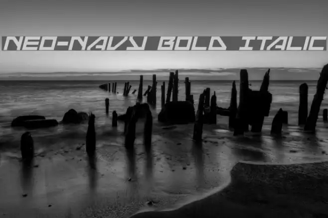 Neo-Navy Bold Italic Example 3