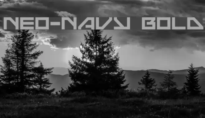 Neo-Navy Bold Font examples