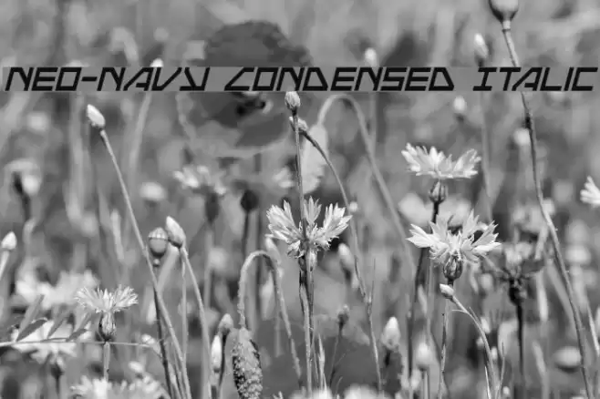 Neo-Navy Condensed Italic Font examples