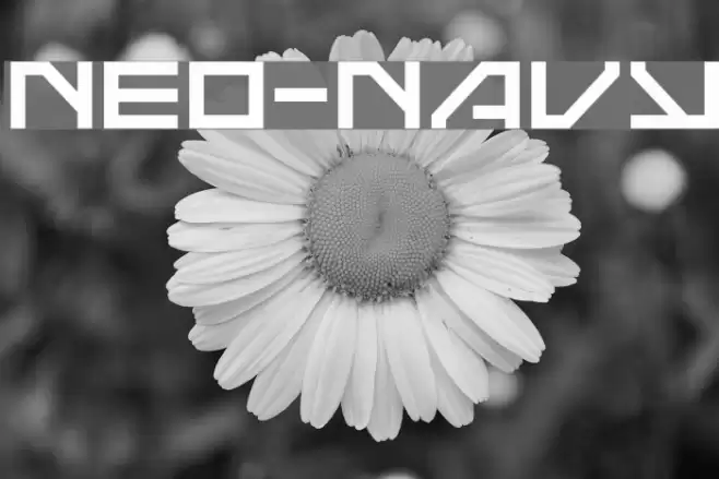 Neo-Navy Font examples