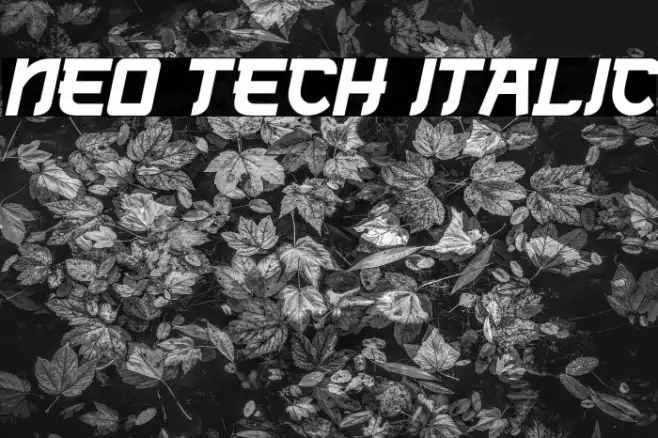 Neo Tech Italic Example 3
