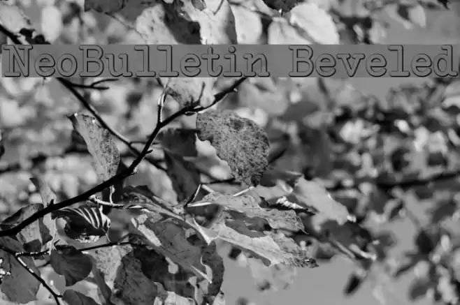 NeoBulletin Beveled Font examples