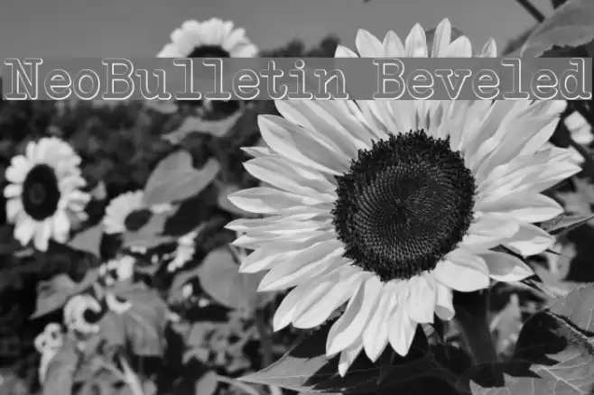 NeoBulletin Beveled Font examples