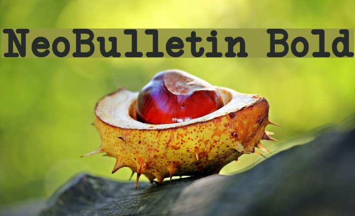NeoBulletin Bold Font examples