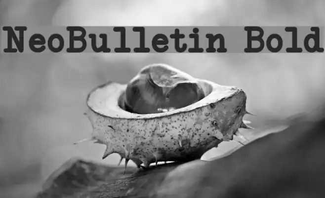 NeoBulletin Bold Example 2