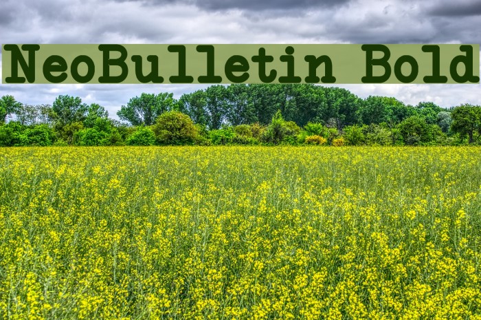 NeoBulletin Bold Font examples