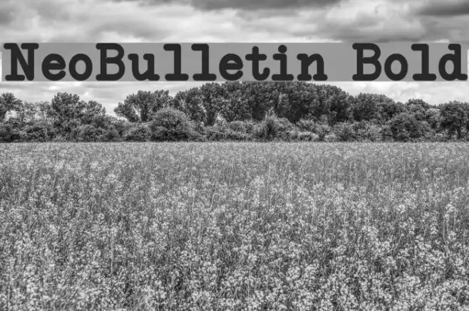 NeoBulletin Bold Example 3