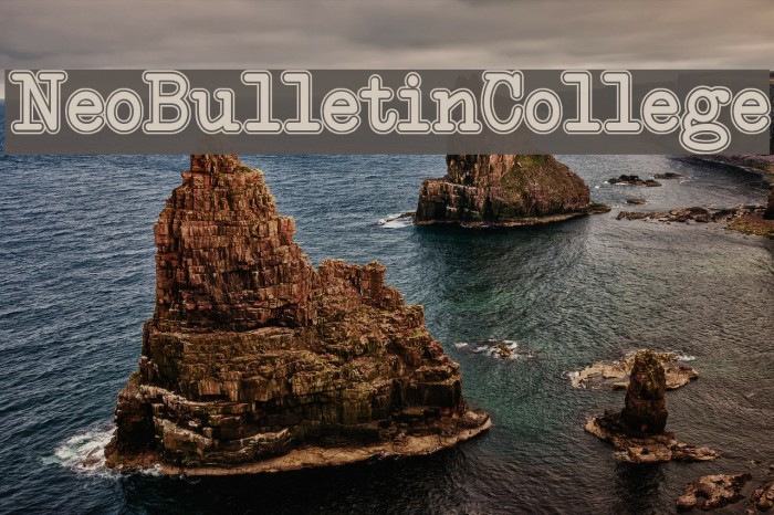 NeoBulletin College Шрифта examples