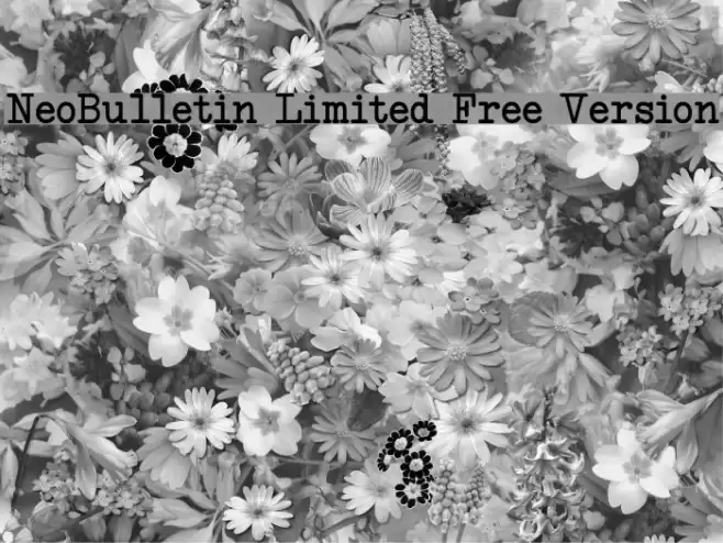 NeoBulletin Limited Free Version Font examples