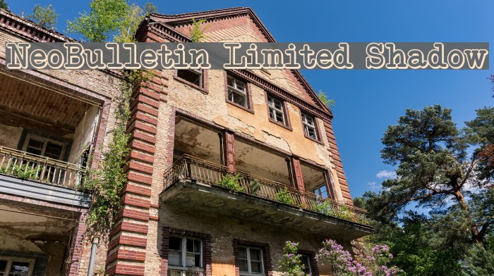NeoBulletin Limited Shadow Example 2