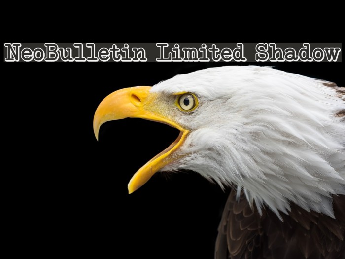 NeoBulletin Limited Shadow Example 3