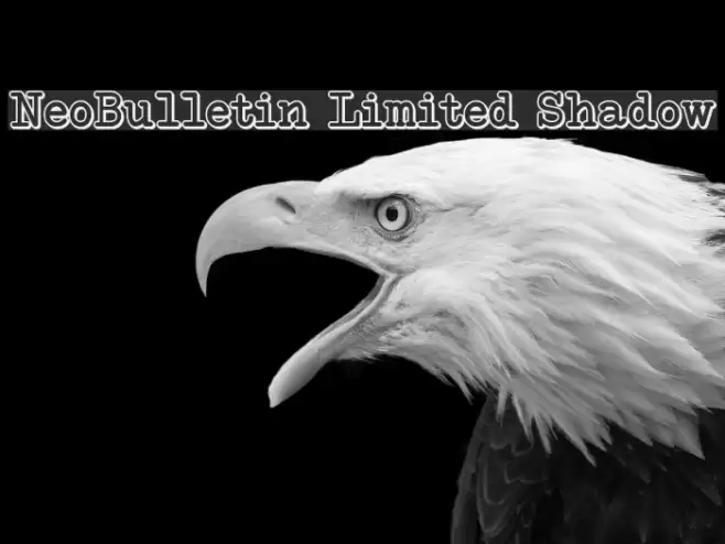 NeoBulletin Limited Shadow Font examples