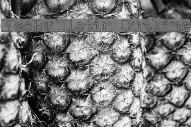 NeoBulletin Outline Шрифта examples