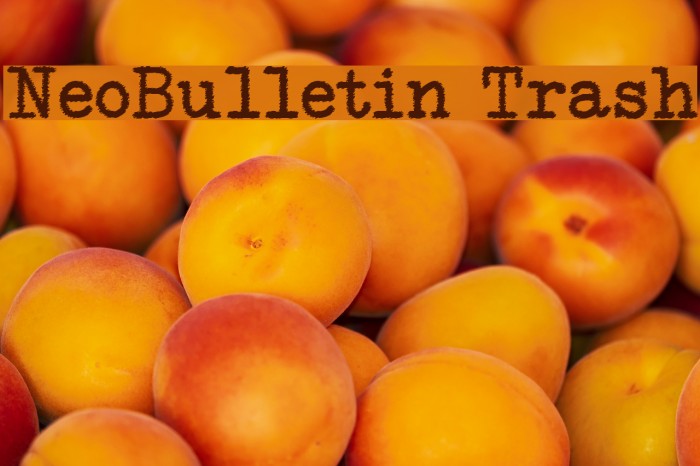 NeoBulletin Trash Font examples