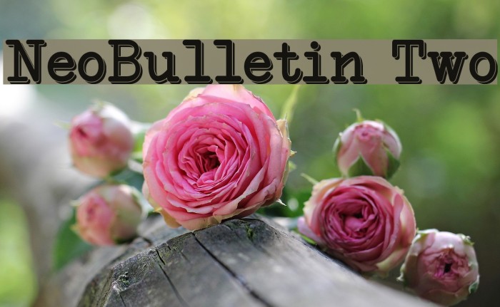 NeoBulletin Two Font examples