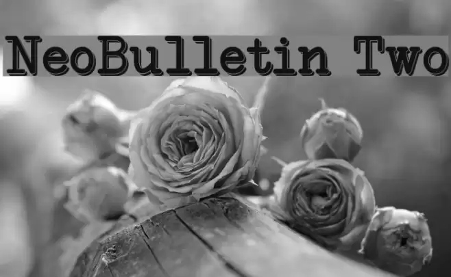 NeoBulletin Two Font examples