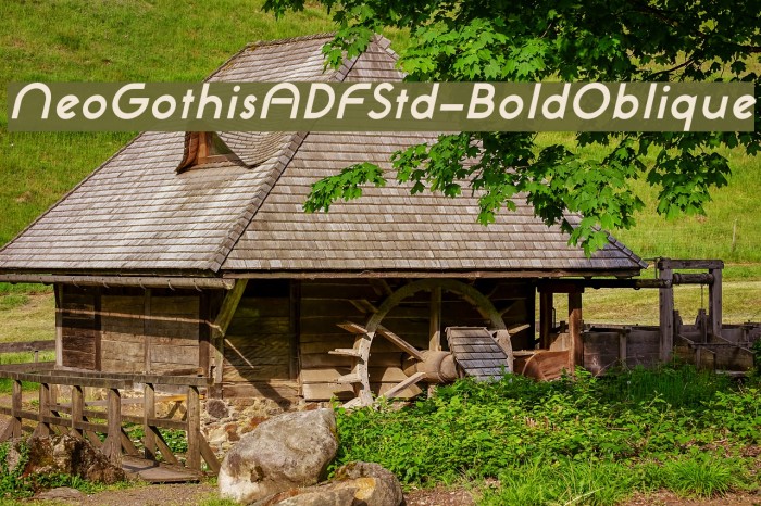 NeoGothisADFStd-BoldOblique Font examples