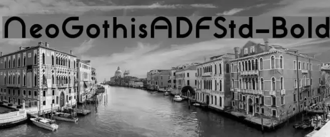 NeoGothisADFStd-Bold Font examples
