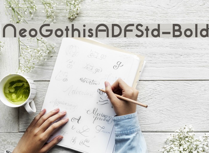 NeoGothisADFStd-Bold Font examples