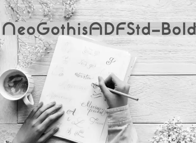 NeoGothisADFStd-Bold Font examples