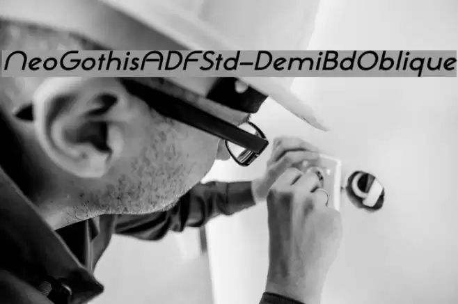NeoGothisADFStd-DemiBdOblique Font examples