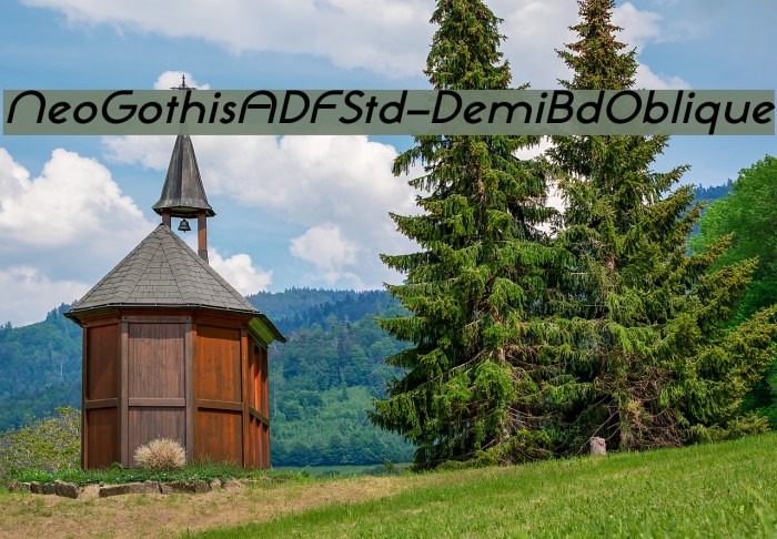 NeoGothisADFStd-DemiBdOblique Font examples