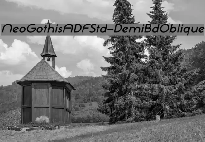 NeoGothisADFStd-DemiBdOblique Font examples