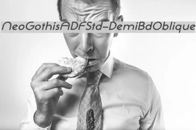 NeoGothisADFStd-DemiBdOblique Font examples