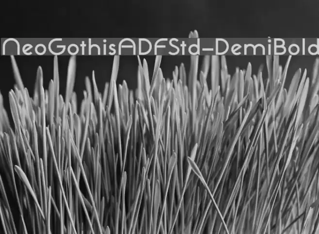 NeoGothisADFStd-DemiBold Font examples