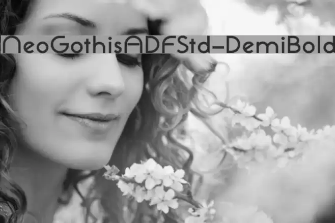 NeoGothisADFStd-DemiBold Font examples