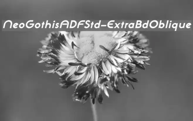 NeoGothisADFStd-ExtraBdOblique Font examples