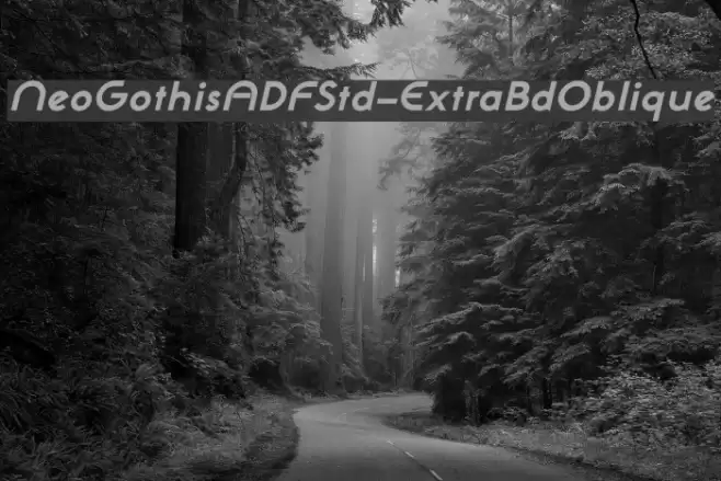 NeoGothisADFStd-ExtraBdOblique Font examples