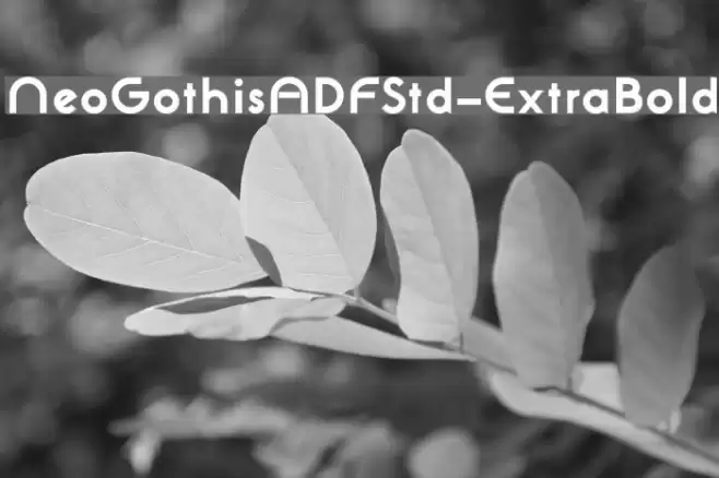NeoGothisADFStd-ExtraBold Font examples