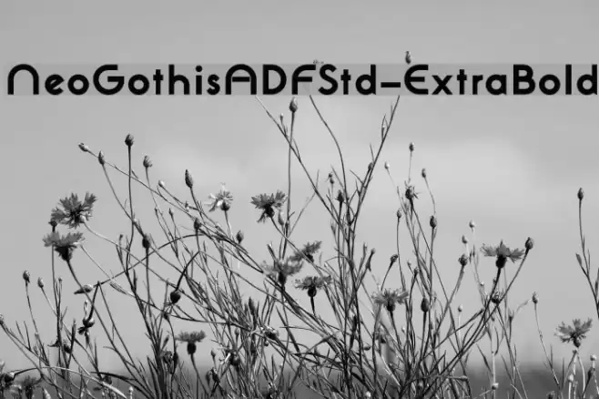NeoGothisADFStd-ExtraBold Font examples