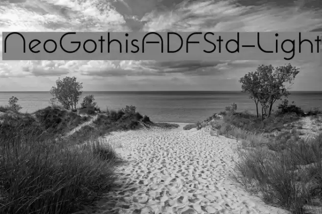 NeoGothisADFStd-Light Font examples
