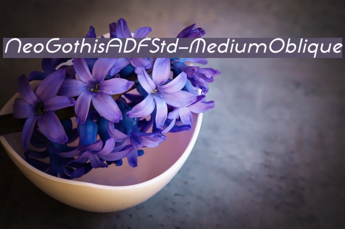 NeoGothisADFStd-MediumOblique Font examples